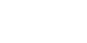 Meta Business Partner