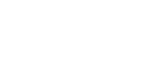 TikTok Marketing Partner