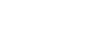 TikTok Marketing Partner